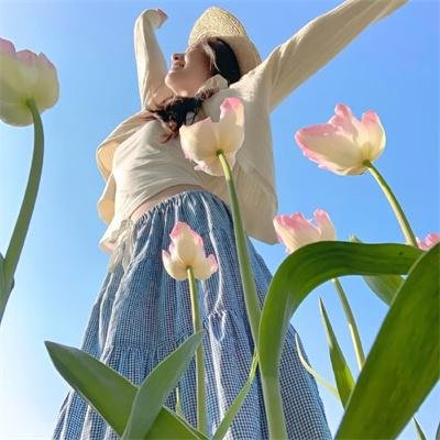 刀的哲学